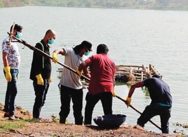 Going green, App-solutely!