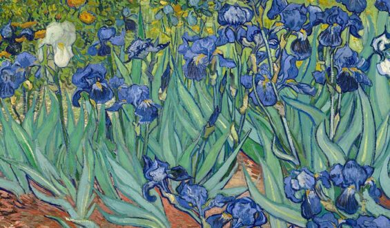 Step into a Van Gogh painting this June 29